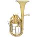 horn